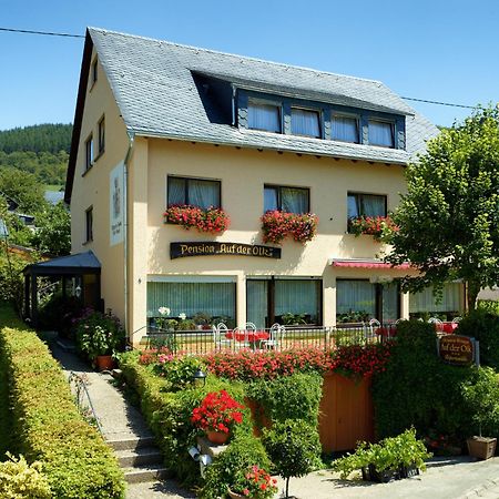 Pension Auf Der Olk Mit Roepertsmuehle Veldenz Exterior photo