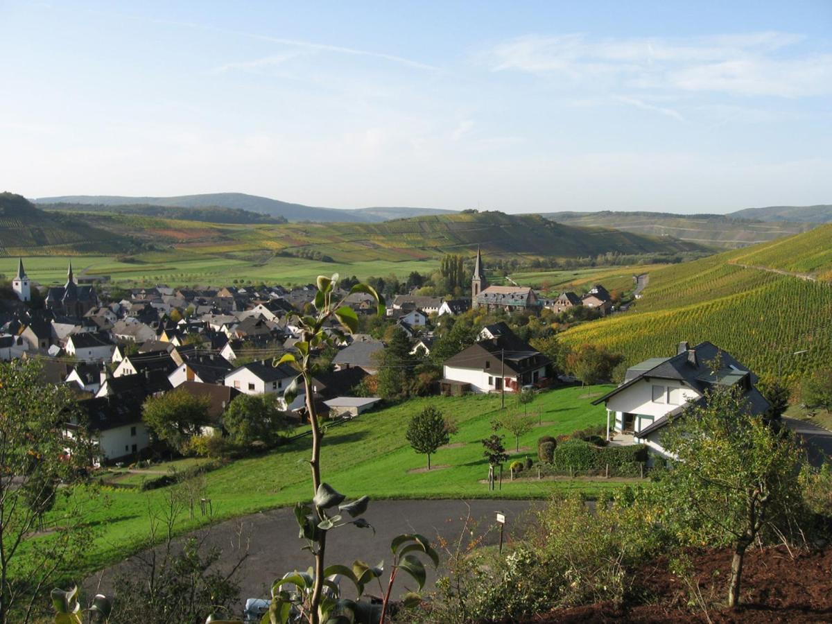 Pension Auf Der Olk Mit Roepertsmuehle Veldenz Exterior photo