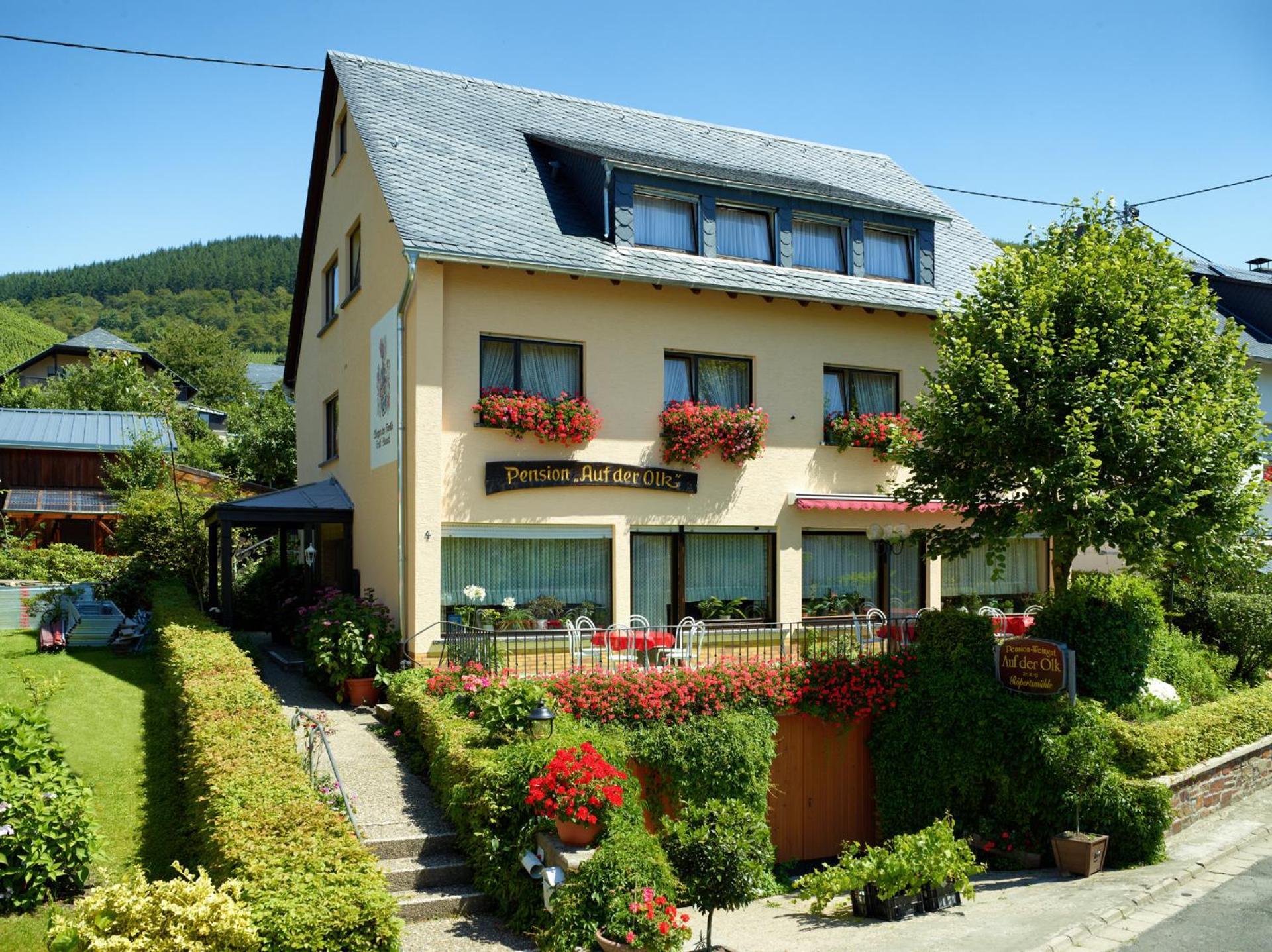 Pension Auf Der Olk Mit Roepertsmuehle Veldenz Exterior photo